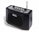 AMPLIFICADOR MINI PORTABLE C/USB/SD/FM/1 MIC