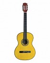 GUITARRA CLASICA 38