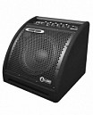 AMPLIFICADOR P/BATERIA EDA 50W 1X10