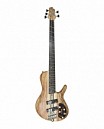 BAJO ELECT. 5 CUERDAS ARTISAN C/MIC. BARTOLINI MK-1 COLOR OP