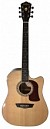 GUITARRA ELECTROACUSTICA HERITAGE10 COLOR NATURAL
