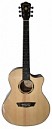 GUITARRA ELECTROACUSTICA WOODLINE10 COLOR NATURAL
