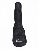 ESTUCHE PARA BAJO ELECTRICO ECONOMICO